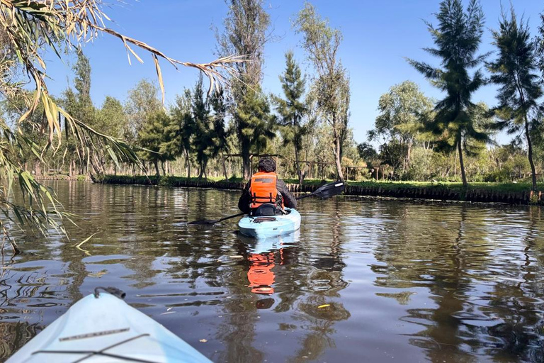 Xochimilco: Sunrise Kayaking, Breakfast and Axolotls Xochimilco: Sunrise Kayaking, Breakfast, and Axolotls