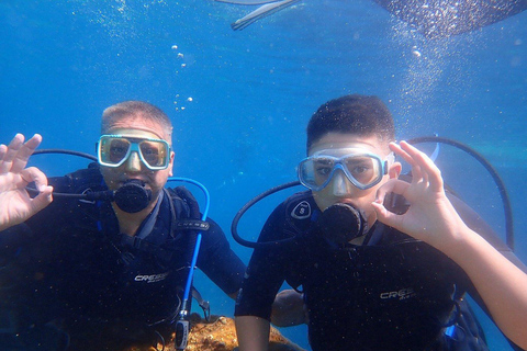 كوليمبيا، رودس: مغامرة غوص لجميع المستوياتكوليمبيا، رودس: مغامرة غوص للمبتدئين والمعتمدين