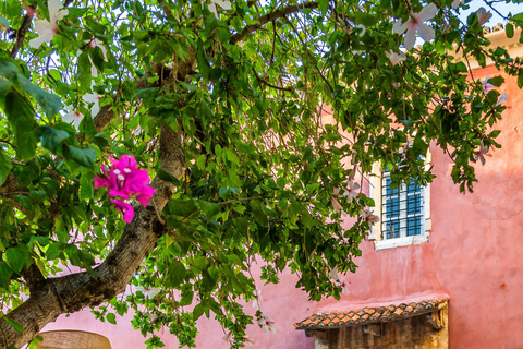 Corfu: Old Town Guided Walking TourPrivate Tour