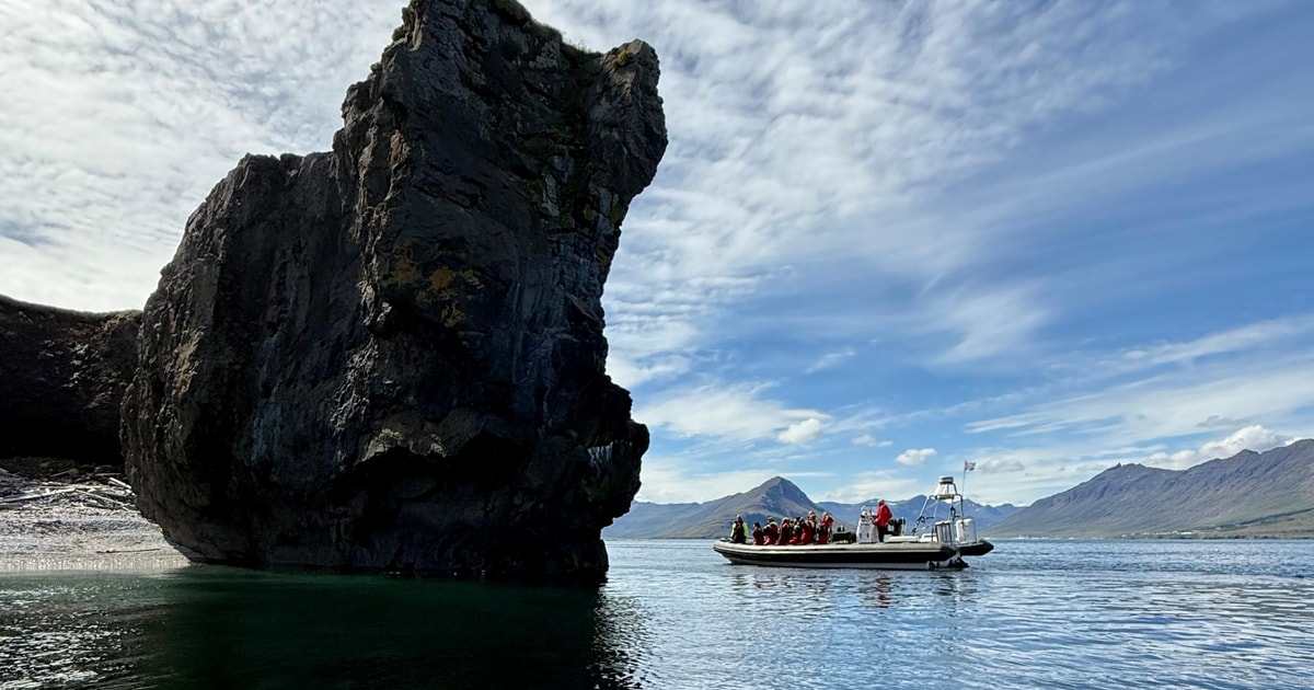 Neskaupstaður: tour in barca RIB con drink | GetYourGuide