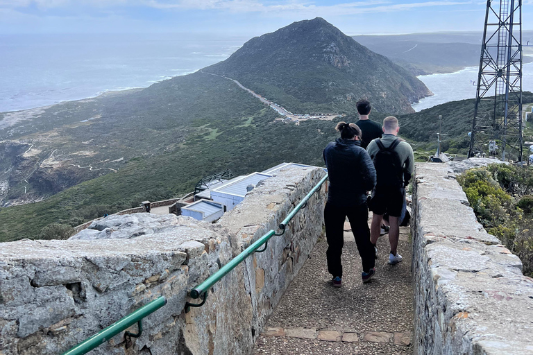 Cape of Good Hope and Penguins Full-Day Private Tour Private tour: Cape of Good Hope and Penguins Full-Day Tour