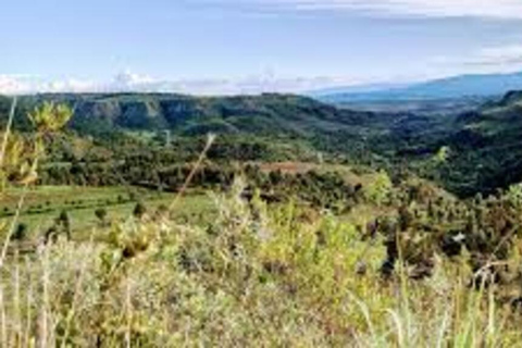 Nairobi: Kipipiri Bamboo Forest Hike with Transfer