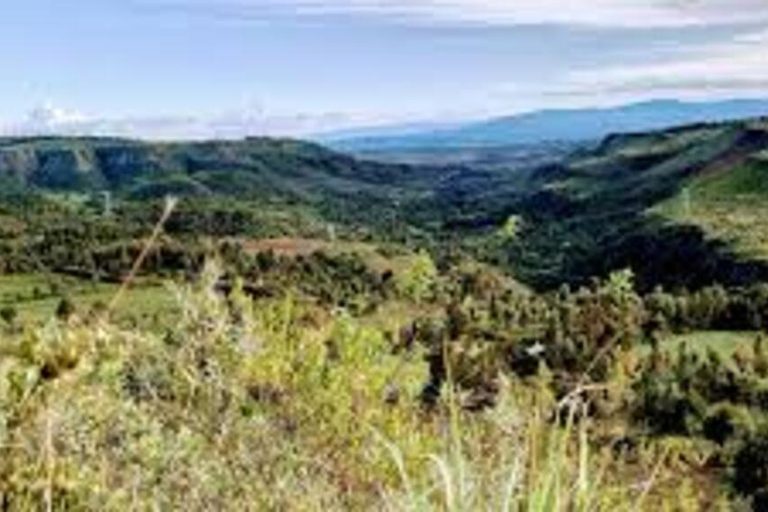 Nairobi: Kipipiri Bamboo Forest Hike with Transfer