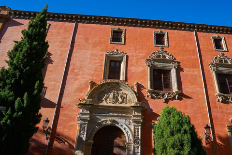 Best of Granada: Private Walking Tour with a Local Private City Tour - 6Hr