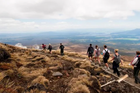 Otokou: Ketetahi Park and Ride One-Way to Tongariro Crossing