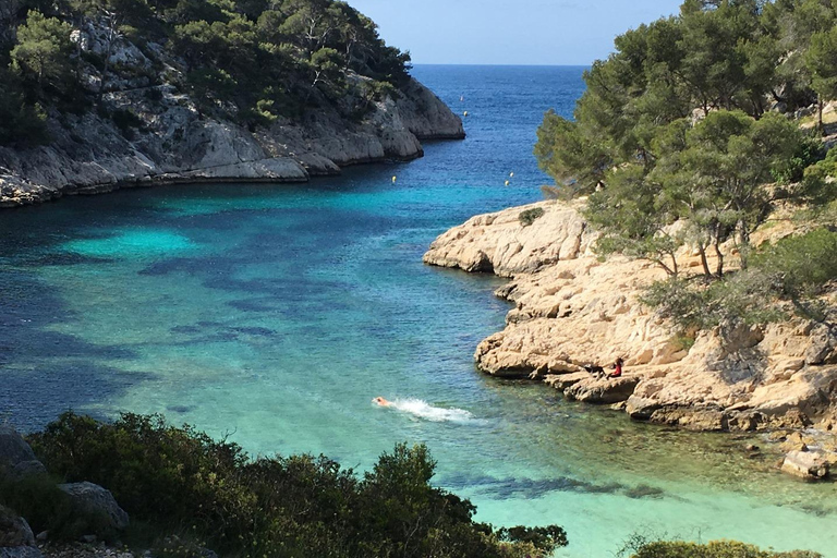 La Ciotat: Boat Tour in the Calanques with swimming