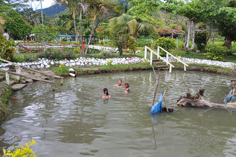 NADI: Garden Of Sleeping Giant & Tifajek Mudpool & Hotspring Shangri-La's Fijian Resort and Spa / Gecko Resort Pickup