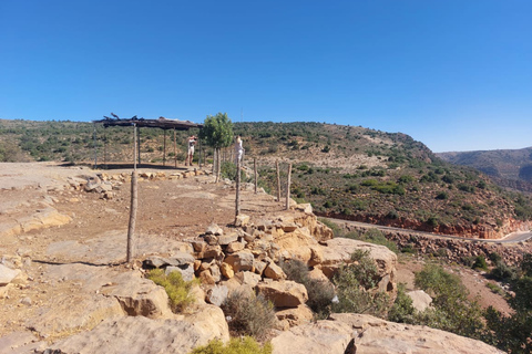 Agadir: High Atlas Mountains, Goats on Trees & Garden Tour