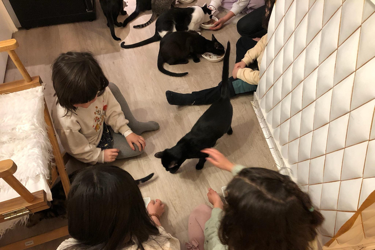 Bilbao: 1 Hour Entry Ticket to a Cat Café