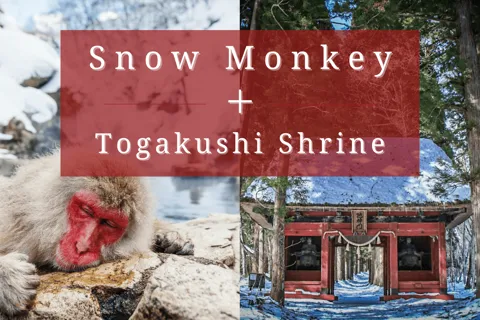 【Privato】[Scimmia della neve + Santuario Togakushi] Da Nagano/Myoko