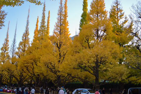 Tokyo: Golden Ginkgo Avenue Autumn Leaves Walk