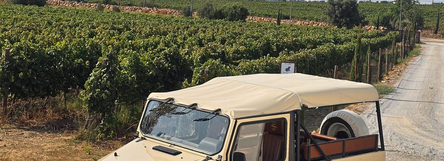 Tavira, Santa Luzia et dégustation de vins