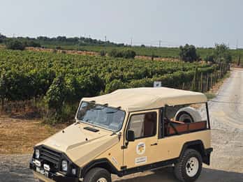 Tavira, Santa Luzia y cata de vinos