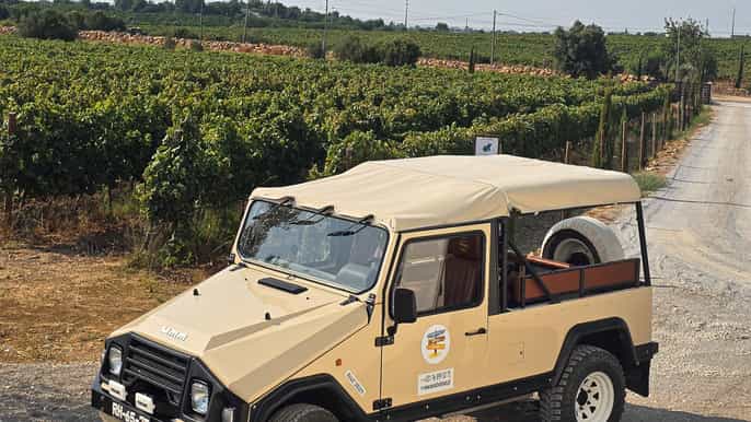 Tavira, Santa Luzia & Wine Tasting