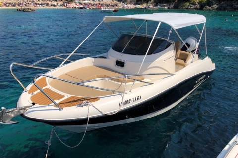 Private Speedboat Tour in Zakynthos (up to 7 people) Private Speedboat Tour to Shipwreck and Blue Caves