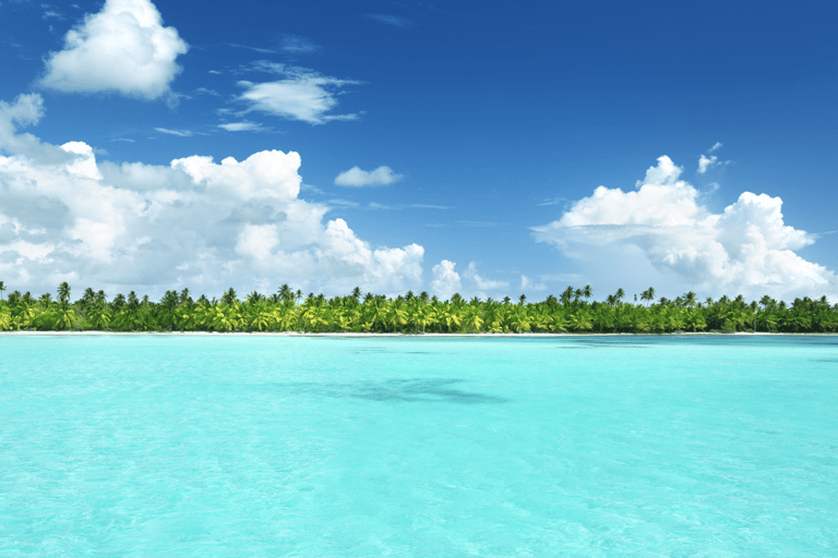 Isla Catalina All Inclusive Snorkel and Beach Day Punta Cana