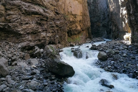 Interlaken: Grindelwald and Glacier Gorge Private Tour