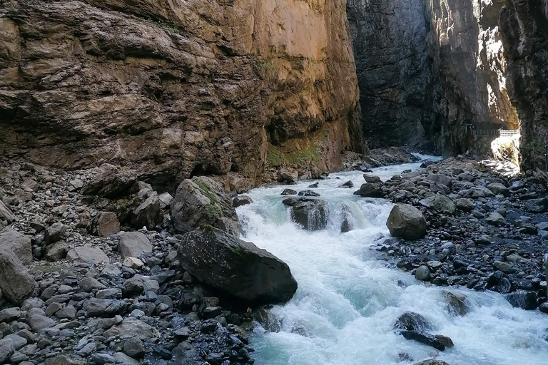 Interlaken: Grindelwald and Glacier Gorge Private Tour