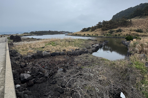 Jeju: Biyangdo Island Ferry Ride, Hike, and Lunch