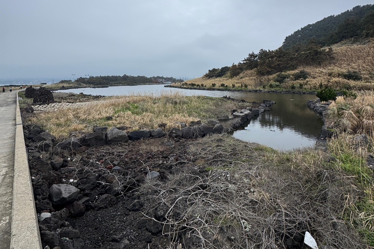 Jeju: Biyangdo Island Ferry Ride, Hike, and Lunch