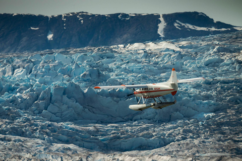 Juneau: Taku Glacier Lodge 5-Glacier Flight & Feast
