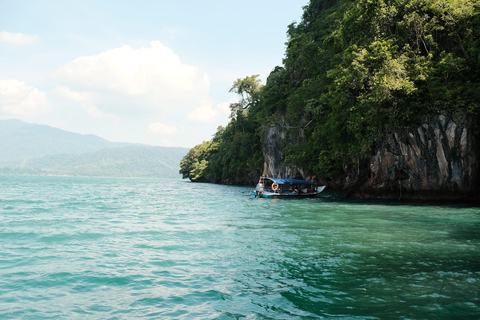 Langkawi : visite privée de 2 heures dans la mangrove avec transfert depuis l&#039;hôtelGroupe de 6 personnes (par bateau)