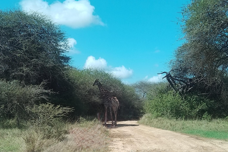 Mombasa: Wildlife Sanctuary Guided Nature Trail Tour Wildlife Sanctuary Guided Nature Trail Tour