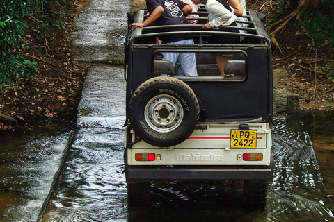 Sigiriya: Minneriya Premium Private Guided Elephant Safari