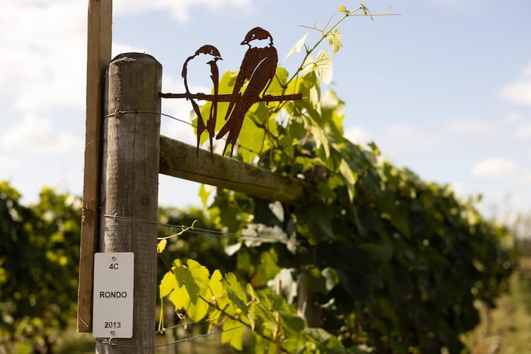 York: Cellar Door Wine Tasting Signature Tasting