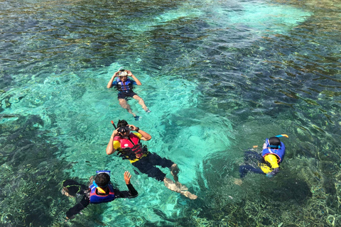 Isabela Island: Concha Perla Snorkeling Experience