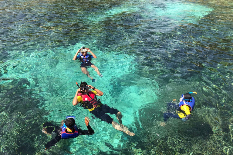 Isabela Island: Concha Perla Snorkeling Experience