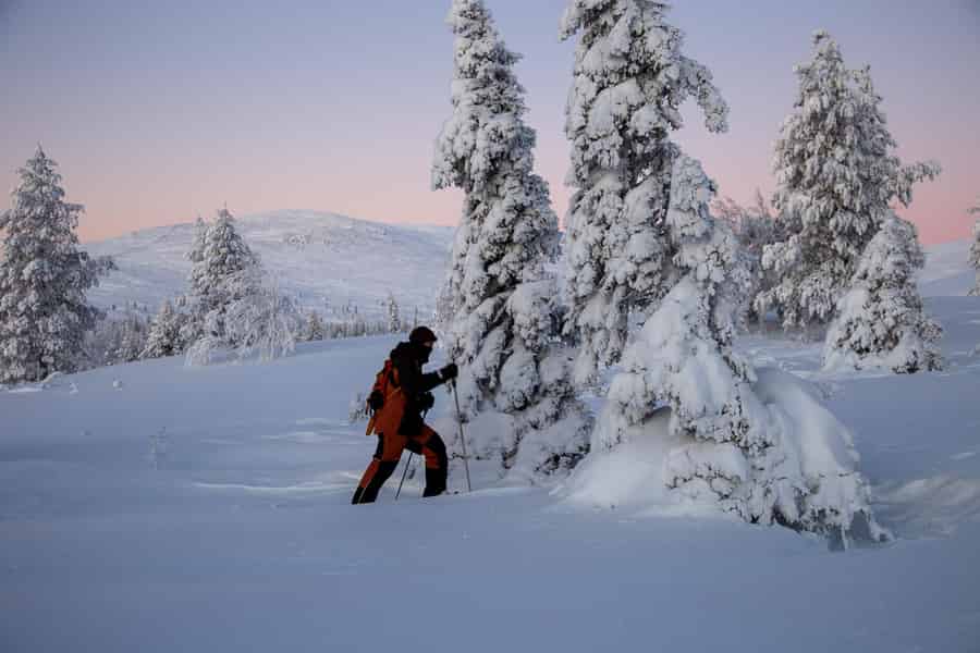 Levi: Schneeschuhwandern im Nationalpark Pallas-Yllästunturi. Foto: GetYourGuide Levi: Schneeschuhwandern im Nationalpark Pallas-Yllästunturi. Foto: GetYourGuide