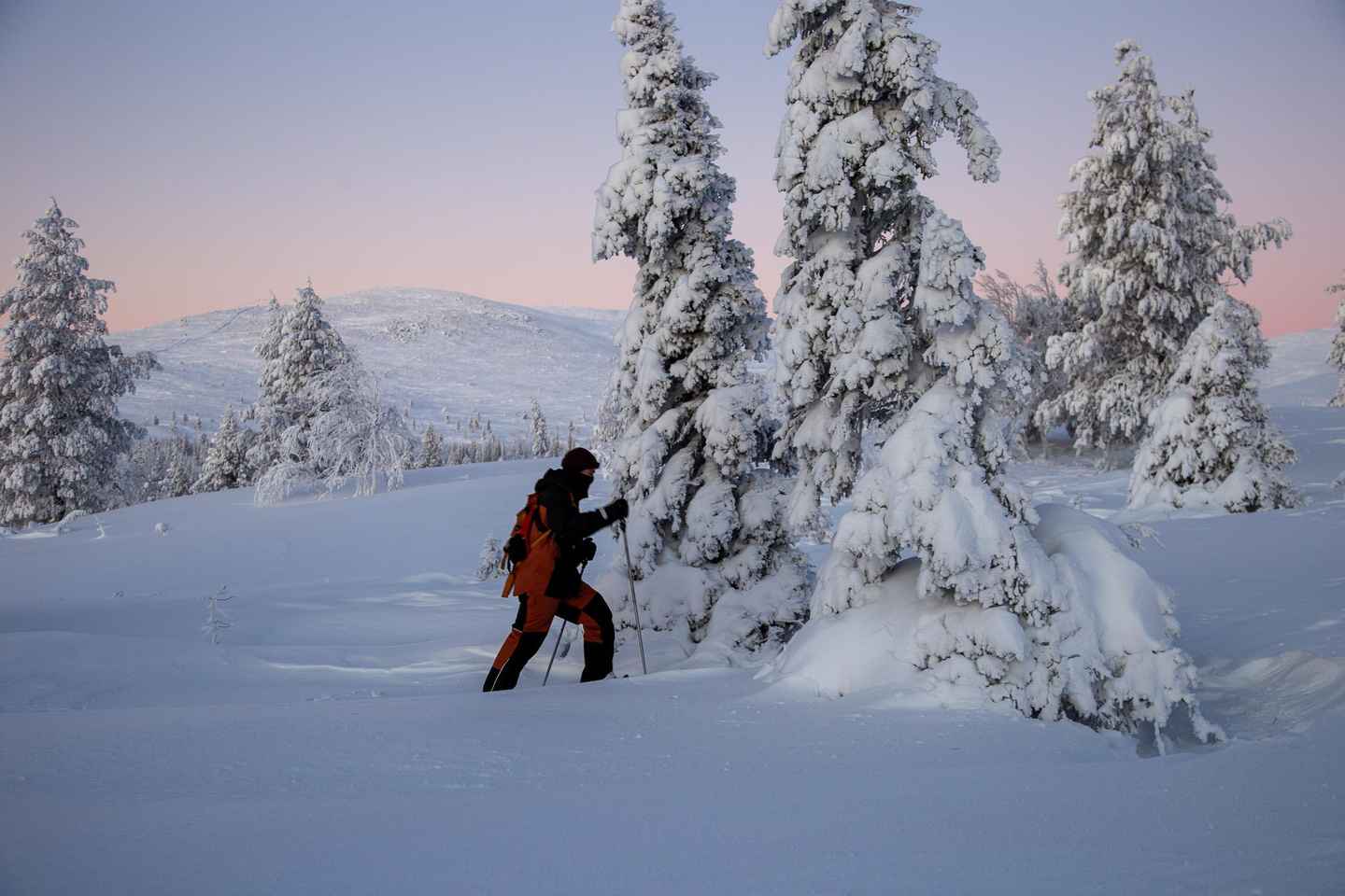 팔라스-율래스투리 국립공원 스노슈잉 투어