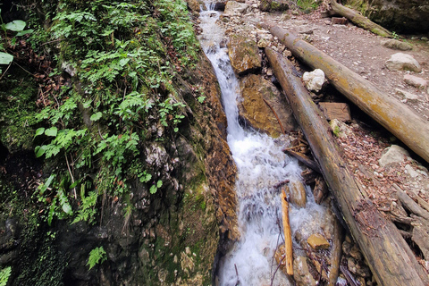 7 Ladders Canyon Hike & Optional Zip-line | From Brașov