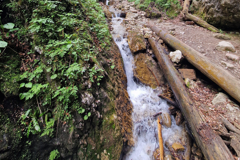 7 Ladders Canyon Hike & Optional Zip-line | From Brașov