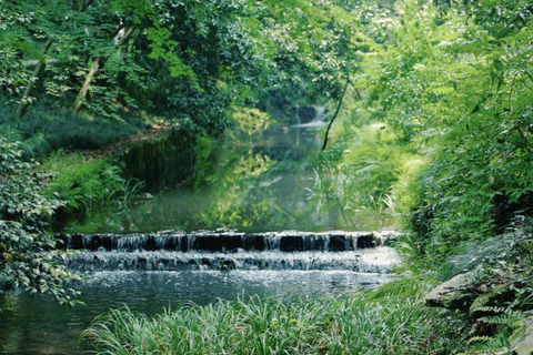Wuxi: Hangzhou Nine Creeks & Longjing Tea Village Day Trip