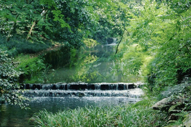 Wuxi: Hangzhou Nine Creeks & Longjing Tea Village Day Trip