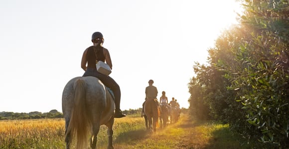 Fazana: 1-stündiger Ausritt in die Natur bei Sonnenuntergang mit Guide Fazana: 1-stündiger Ausritt in die Natur bei Sonnenuntergang mit Guide