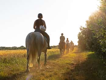 Fazana: Sunset 1-hour Horse Riding in Nature with Guide