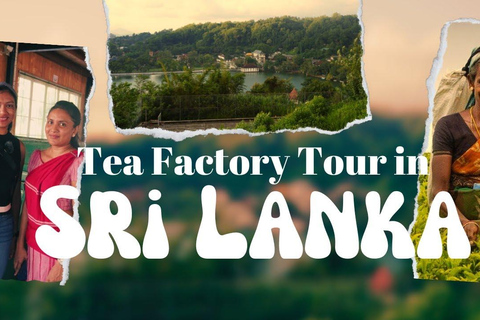 Sri Lanka: 15-Day Grand Tour With Vacation Time