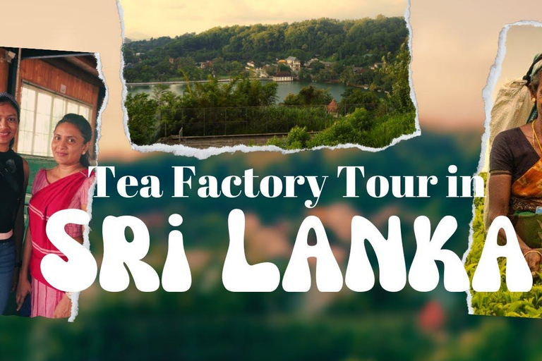 Sri Lanka: 15-Day Grand Tour With Vacation Time