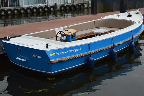 Leiden: Electric boat rental, 8 persons