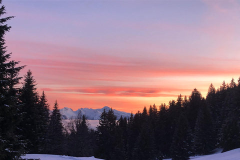 Spedizione nel Paese delle Meraviglie d&#039;Inverno, viaggio con le racchette da neve nella natura selvaggia