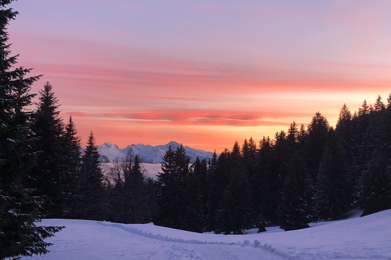 Spedizione nel Paese delle Meraviglie d&#039;Inverno, viaggio con le racchette da neve nella natura selvaggia