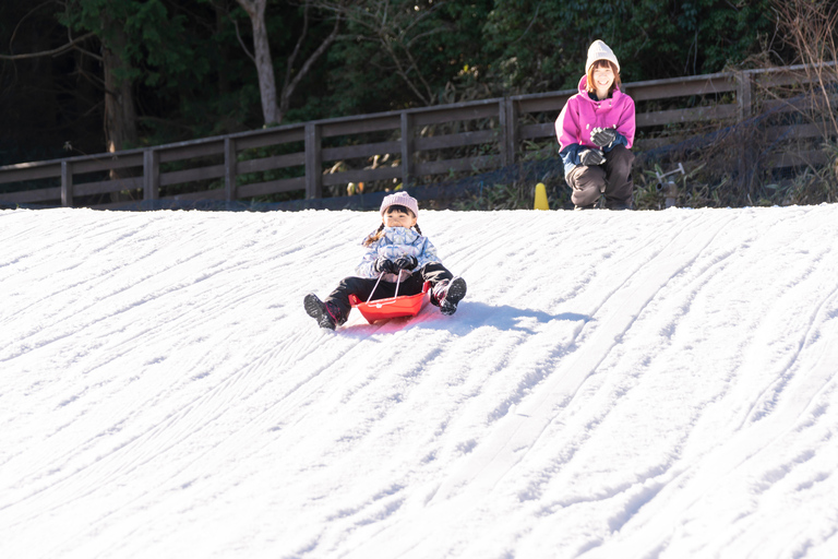 Osaka: Rokko Snow Park – wycieczka 1-dniowa z opcjonalną lekcją jazdy na nartachD (SANKI)