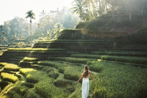 Bali: Private Mt. Batur Sunrise Jeep & Ubud Combo Experience Private Jeep Sunrise only