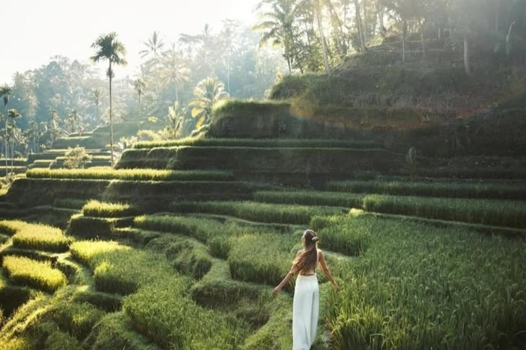 Bali: Private Mt. Batur Sunrise Jeep & Ubud Combo Experience Private Jeep Sunrise only