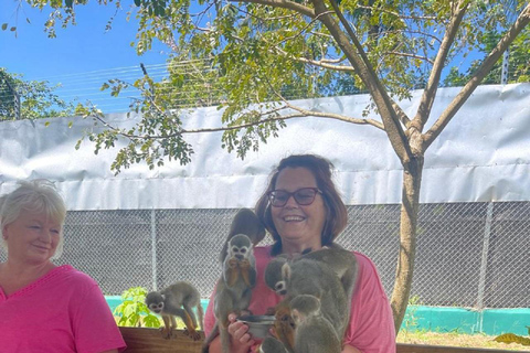 Puerto Plata: Damajagua Waterfalls & Monkeyland Tour