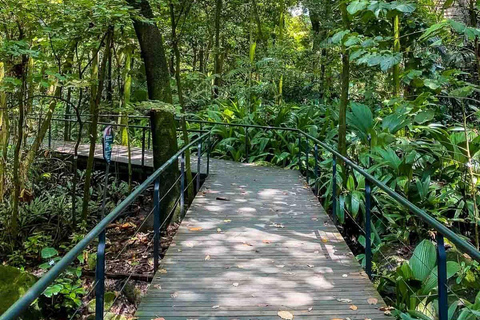 Medellín, Nature and Space: Visit the Botanical Garden and the Planetarium