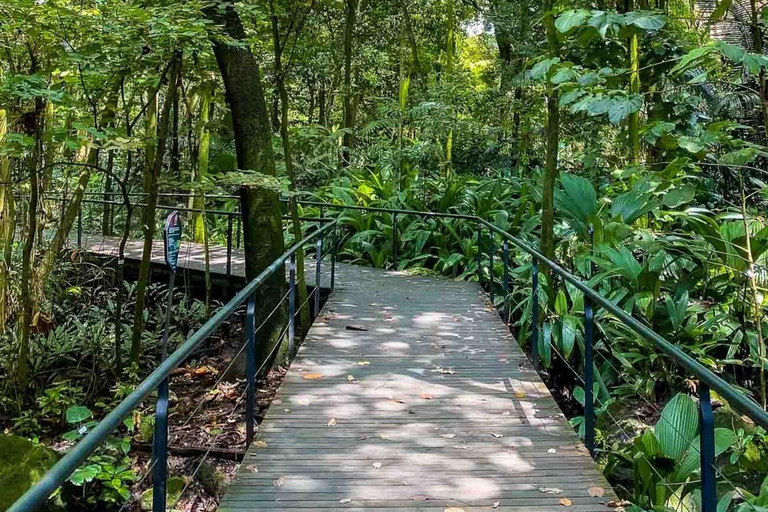 Medellín, Nature and Space: Visit the Botanical Garden and the Planetarium